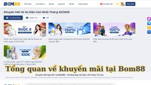 Tổng quan về khuyến mãi tại Bom88
